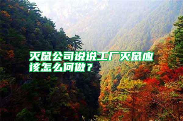 滅鼠公司說說工廠滅鼠應該怎么何做?