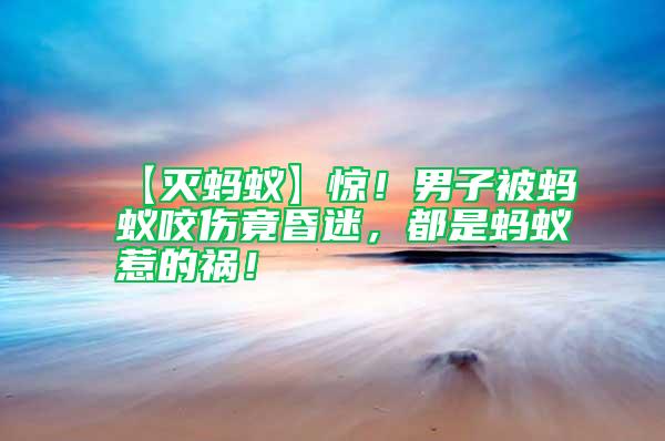 【滅螞蟻】驚!男子被螞蟻咬傷竟昏迷,都是螞蟻惹的禍!