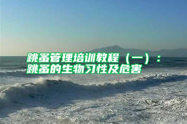 跳蚤管理培訓教程（一）：跳蚤的生物習性及危害