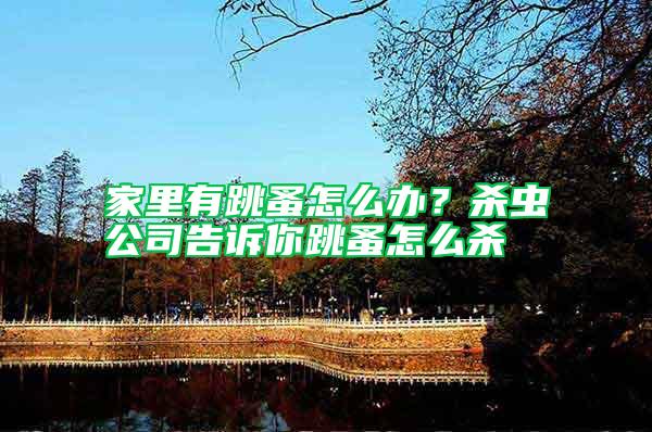 家里有跳蚤怎么辦?殺蟲公司告訴你跳蚤怎么殺