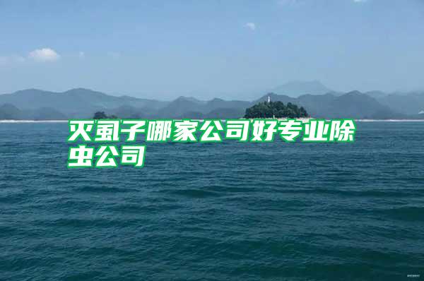 滅虱子哪家公司好專業(yè)除蟲公司