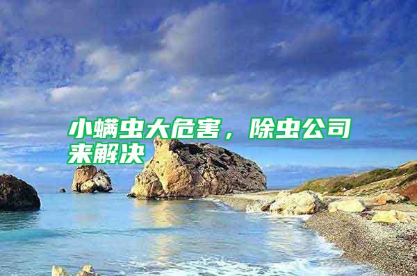 小螨蟲大危害,除蟲公司來解決