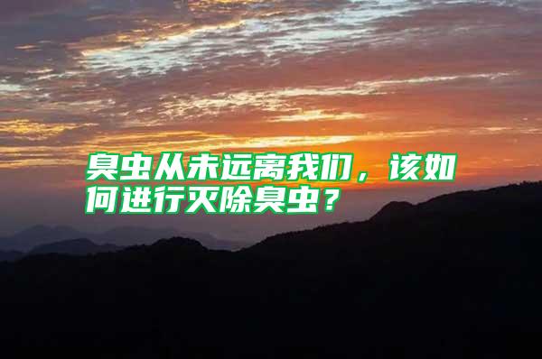 臭蟲從未遠離我們,該如何進行滅除臭蟲?