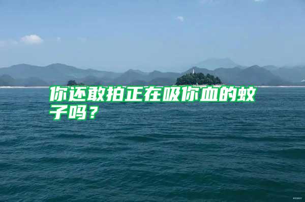 你還敢拍正在吸你血的蚊子嗎?