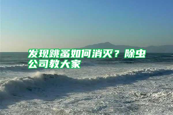 發(fā)現(xiàn)跳蚤如何消滅?除蟲(chóng)公司教大家