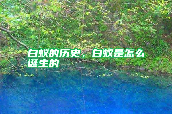 白蟻的歷史,白蟻是怎么誕生的