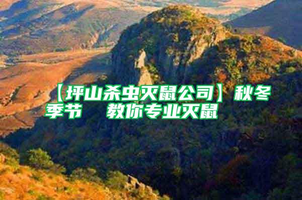 【坪山殺蟲滅鼠公司】秋冬季節 教你專業滅鼠