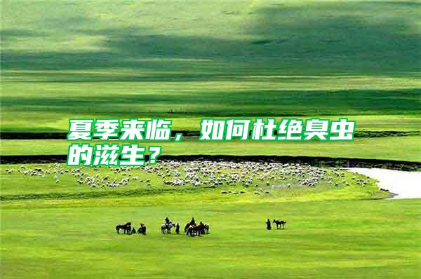 夏季來臨，如何杜絕臭蟲的滋生？