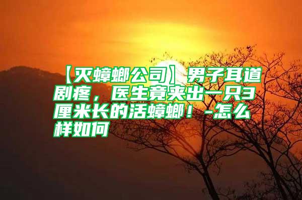 【滅蟑螂公司】男子耳道劇疼，醫生竟夾出一只3厘米長的活蟑螂！-怎么樣如何