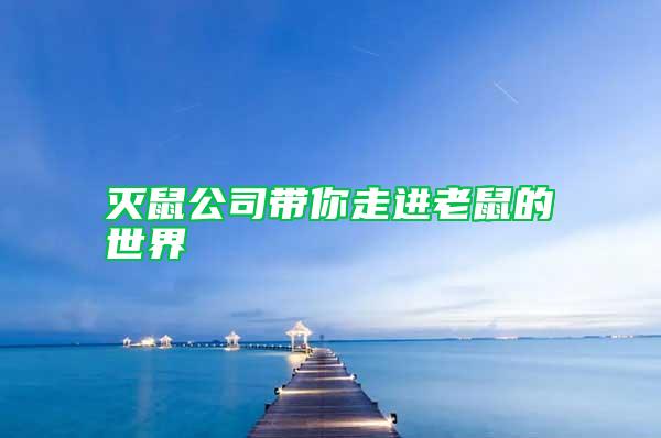 滅鼠公司帶你走進老鼠的世界