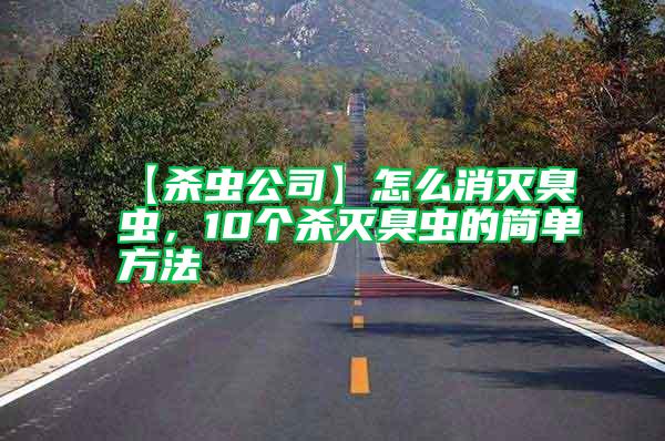 【殺蟲公司】怎么消滅臭蟲,10個殺滅臭蟲的簡單方法