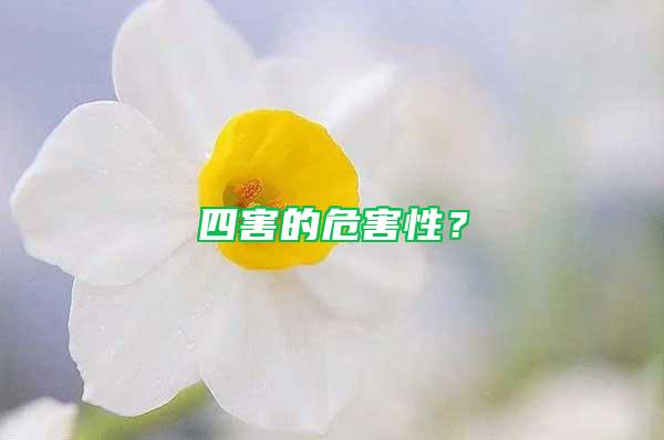 四害的危害性？