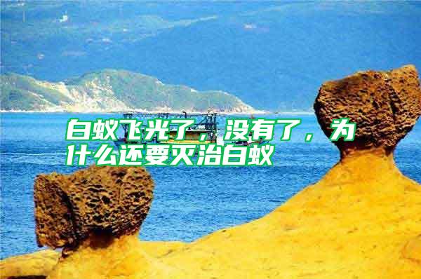白蟻飛光了,沒有了,為什么還要滅治白蟻