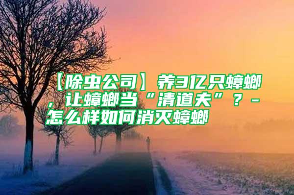 【除蟲(chóng)公司】養(yǎng)3億只蟑螂,讓蟑螂當(dāng)“清道夫”?-怎么樣如何消滅蟑螂