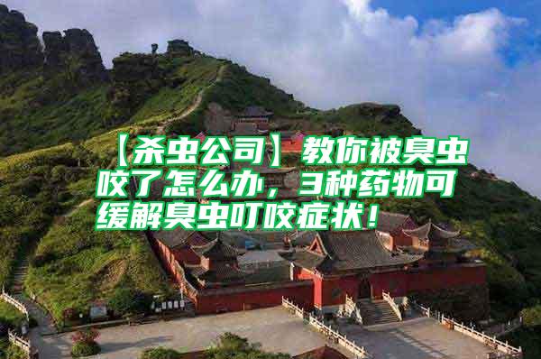 【殺蟲公司】教你被臭蟲咬了怎么辦,3種藥物可緩解臭蟲叮咬癥狀!