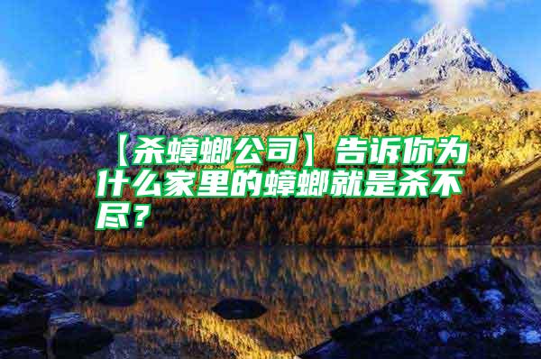 【殺蟑螂公司】告訴你為什么家里的蟑螂就是殺不盡?