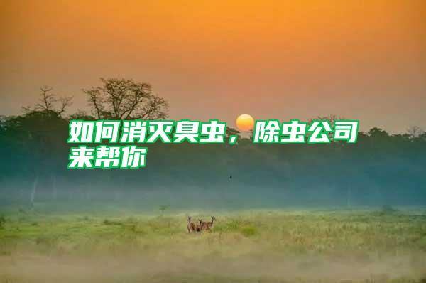 如何消滅臭蟲，除蟲公司來幫你