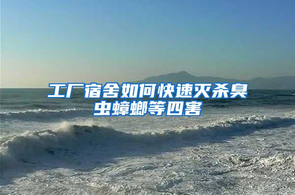 工廠宿舍如何快速滅殺臭蟲蟑螂等四害