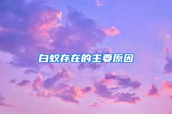 白蟻存在的主要原因