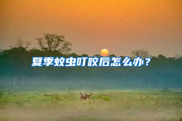 夏季蚊蟲叮咬后怎么辦？