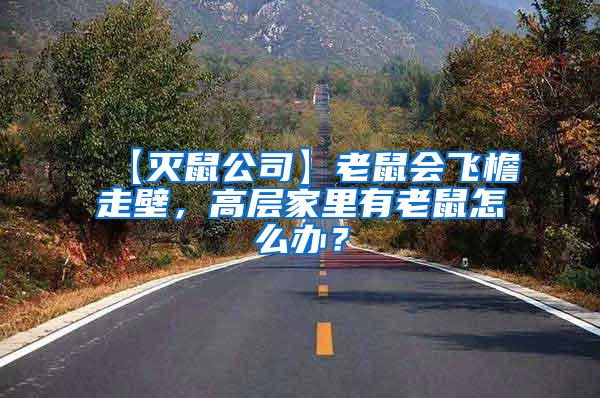 【滅鼠公司】老鼠會飛檐走壁,高層家里有老鼠怎么辦?