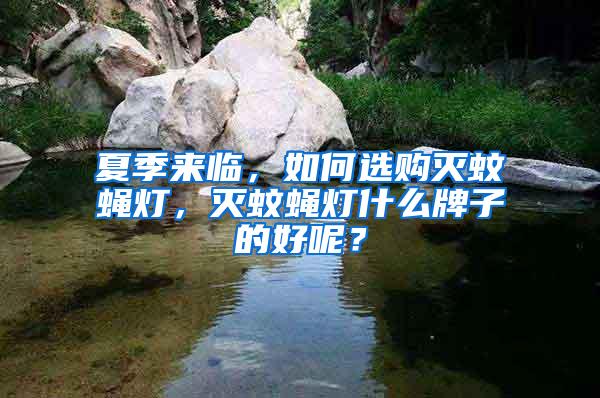 夏季來臨，如何選購滅蚊蠅燈，滅蚊蠅燈什么牌子的好呢？