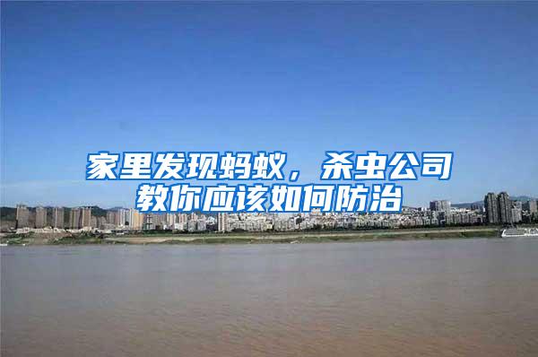 家里發現螞蟻,殺蟲公司教你應該如何防治