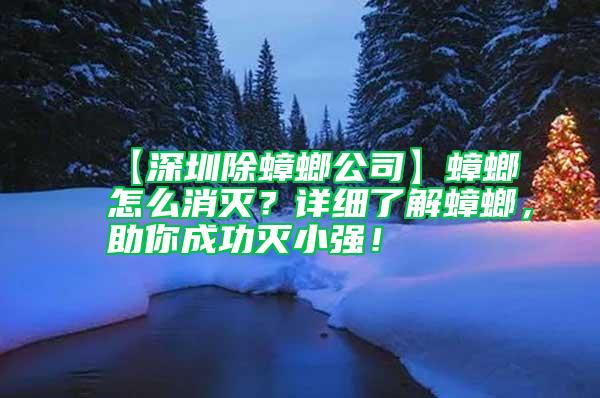 【深圳除蟑螂公司】蟑螂怎么消滅？詳細了解蟑螂，助你成功滅小強！