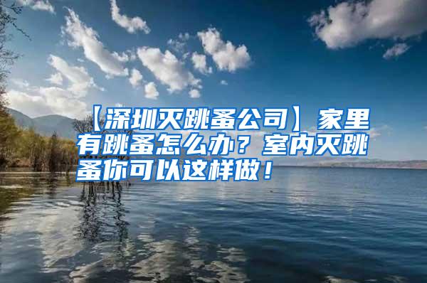 【深圳滅跳蚤公司】家里有跳蚤怎么辦？室內滅跳蚤你可以這樣做！