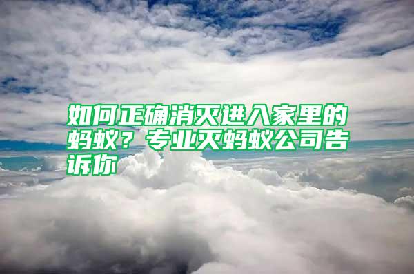 如何正確消滅進(jìn)入家里的螞蟻?專(zhuān)業(yè)滅螞蟻公司告訴你