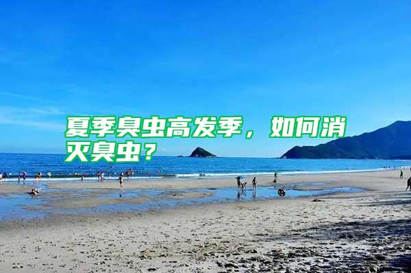 夏季臭蟲高發季，如何消滅臭蟲？