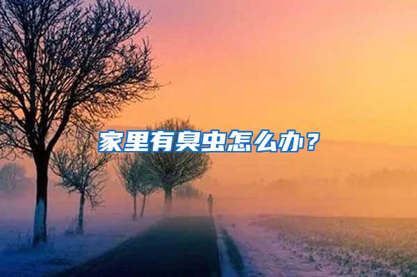 家里有臭蟲怎么辦？