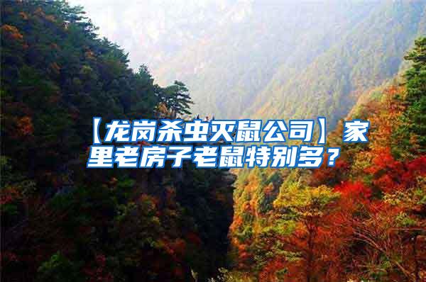 【龍崗殺蟲滅鼠公司】家里老房子老鼠特別多?