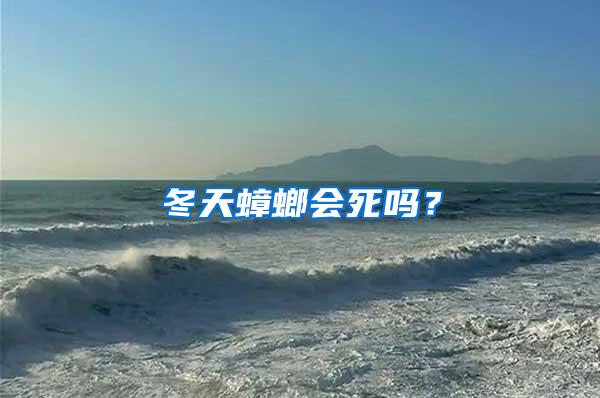 冬天蟑螂會(huì)死嗎？