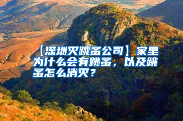 【深圳滅跳蚤公司】家里為什么會(huì)有跳蚤，以及跳蚤怎么消滅？