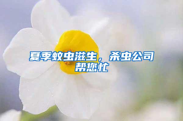 夏季蚊蟲滋生，殺蟲公司幫您忙
