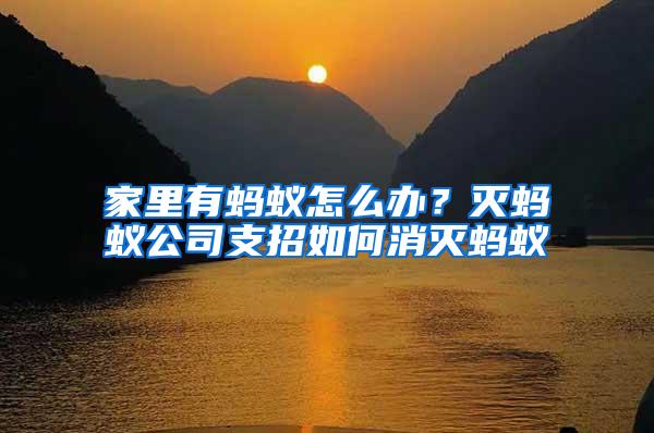 家里有螞蟻怎么辦？滅螞蟻公司支招如何消滅螞蟻
