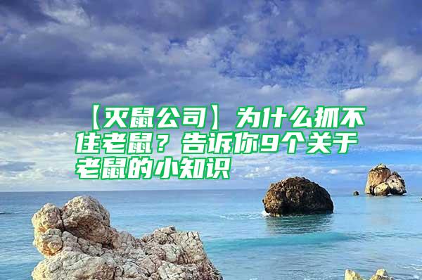 【滅鼠公司】為什么抓不住老鼠?告訴你9個關于老鼠的小知識
