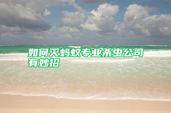 如何滅螞蟻專業(yè)殺蟲公司有妙招