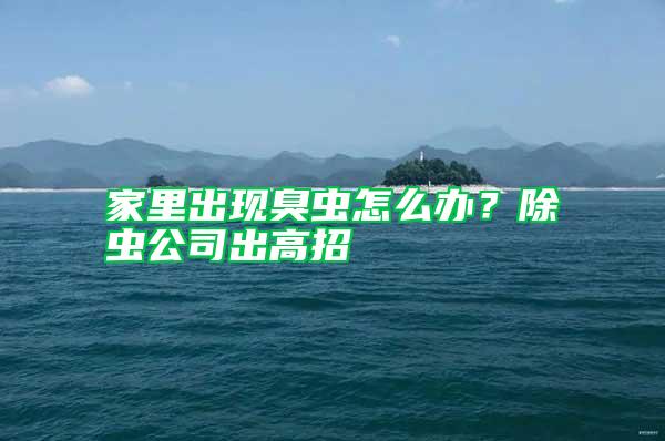 家里出現臭蟲怎么辦?除蟲公司出高招