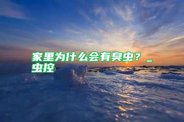 家里為什么會有臭蟲？_蟲控