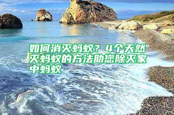 如何消滅螞蟻?4個(gè)天然滅螞蟻的方法助您除滅家中螞蟻
