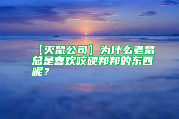 【滅鼠公司】為什么老鼠總是喜歡咬硬邦邦的東西呢？