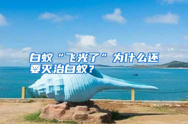 白蟻“飛光了”為什么還要滅治白蟻?