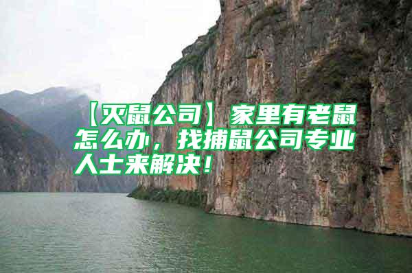 【滅鼠公司】家里有老鼠怎么辦,找捕鼠公司專業人士來解決!