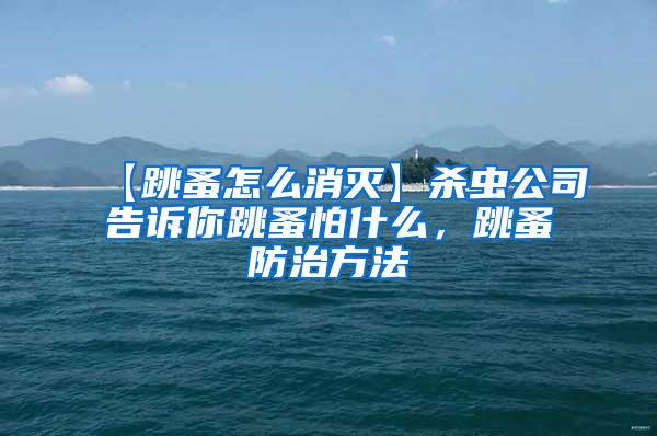 【跳蚤怎么消滅】殺蟲(chóng)公司告訴你跳蚤怕什么,跳蚤防治方法