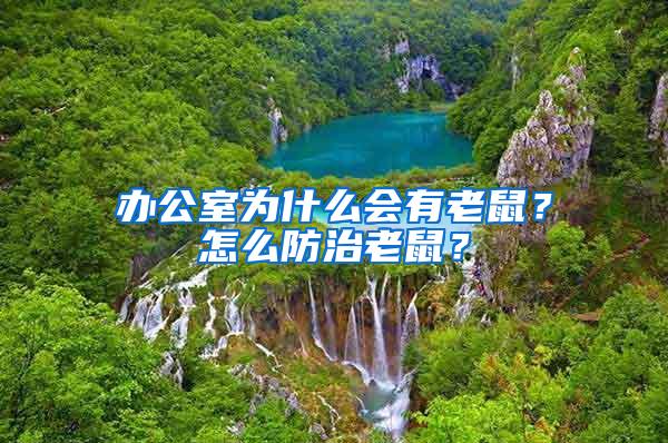 辦公室為什么會(huì)有老鼠?怎么防治老鼠?