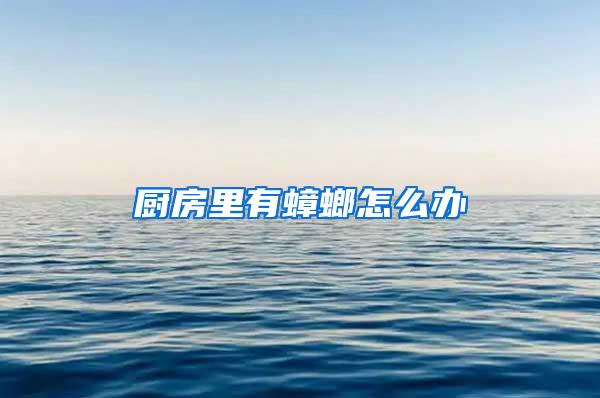 廚房里有蟑螂怎么辦