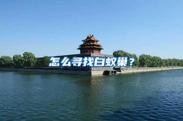 怎么尋找白蟻巢？