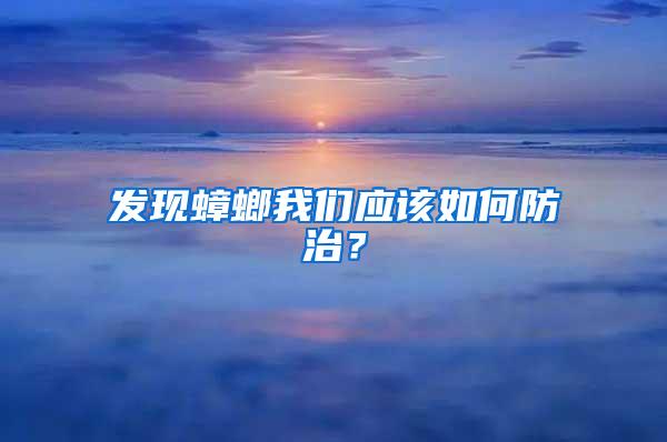 發(fā)現(xiàn)蟑螂我們應(yīng)該如何防治？